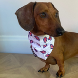 Dog Bandana Union Jack Print