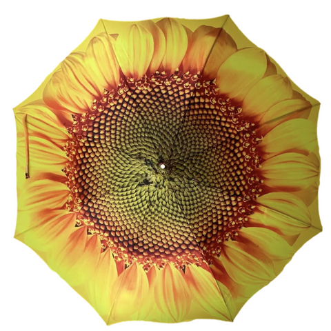 Ladies Umbrella Sunflower Bloom Walking