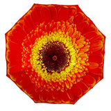 Ladies Umbrella Orange Daisy Bloom Walking