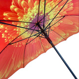 Ladies Umbrella Orange Daisy Bloom Walking