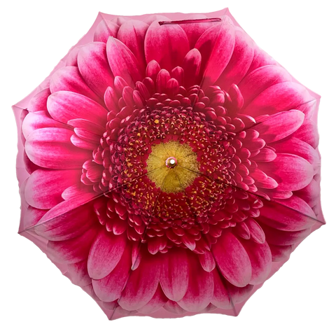 Ladies Umbrella Pink Gerbera Bloom Walking