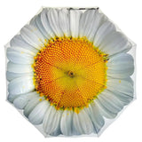 Ladies Umbrella White Daisy Bloom Walking