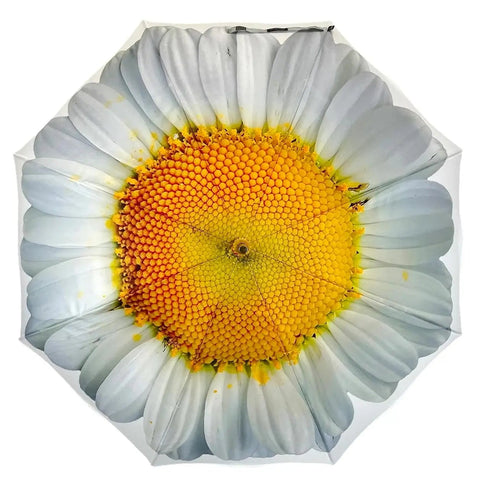 Ladies Umbrella White Daisy Bloom Walking