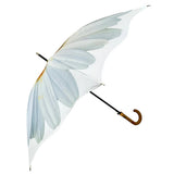 Ladies Umbrella White Daisy Bloom Walking
