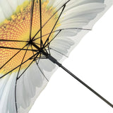 Ladies Umbrella White Daisy Bloom Walking