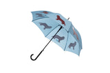 San Francisco Umbrella Cavalier King Charles