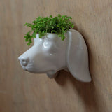 Dog Face Design Wall Mounted Planter