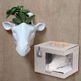 Giraffe Face Design Wall Mounted Planter