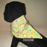 Dog Bandana Lime Paperweight Print