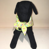Dog Bandana Lime Paperweight Print
