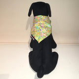 Dog Bandana Lime Paperweight Print