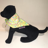Dog Bandana Lime Paperweight Print