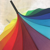 Ladies Pagoda Umbrella Rainbow Soake