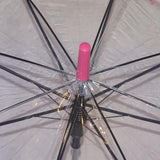 Ladies Umbrella Dome Clear Border Pink